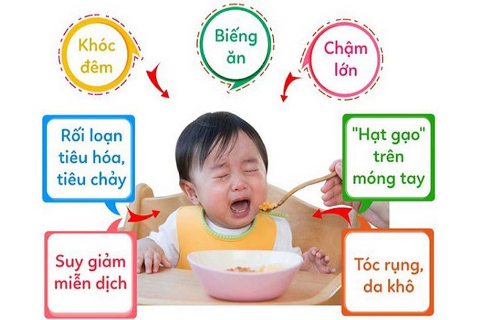 Trong những năm đầu đời, trẻ rất dễ rơi vào trạng thái biếng ăn, chậm lớn, hay ốm vặt khiến cha mẹ lo lắng